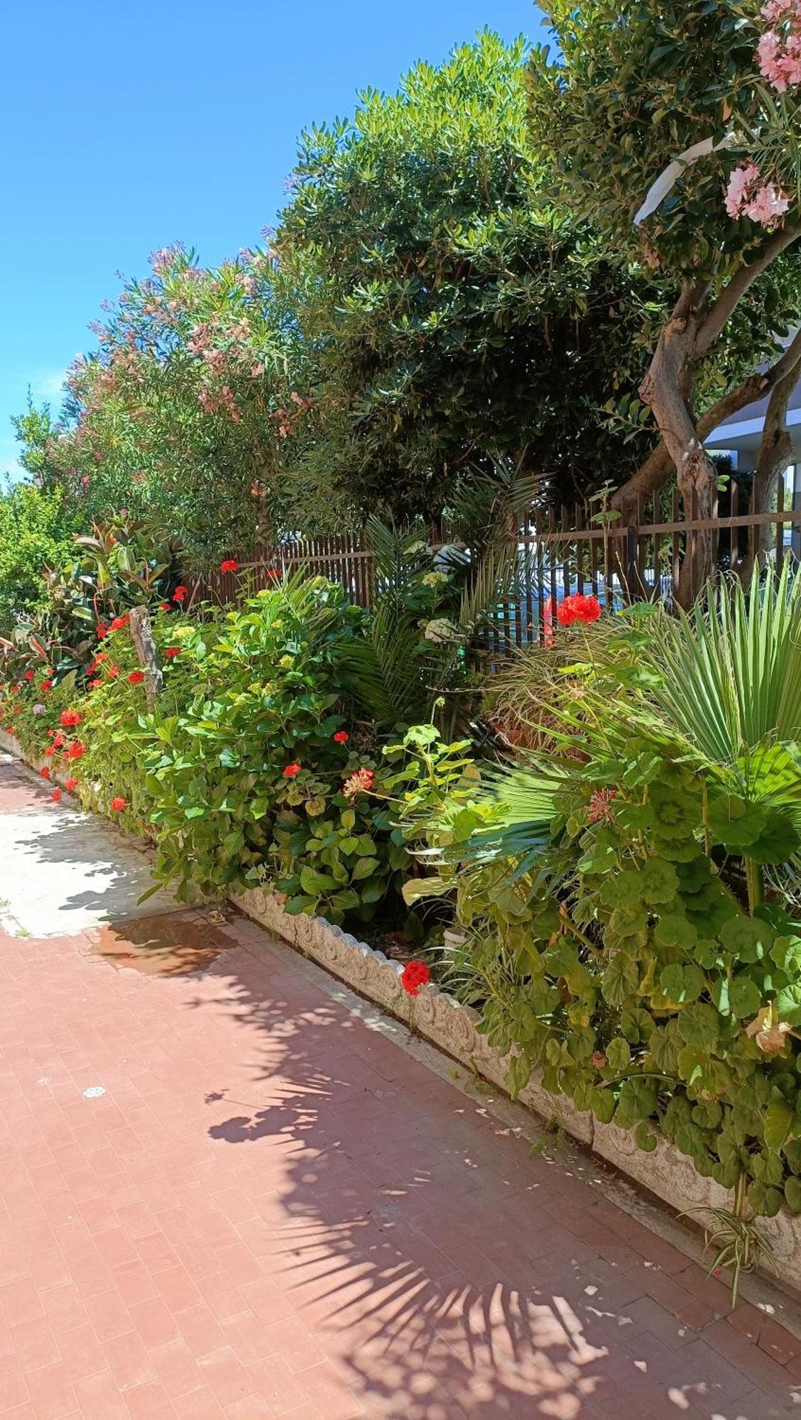 Fco Airport - A Casa Di Gisa Apartment ฟิวมิชีโน ภายนอก รูปภาพ