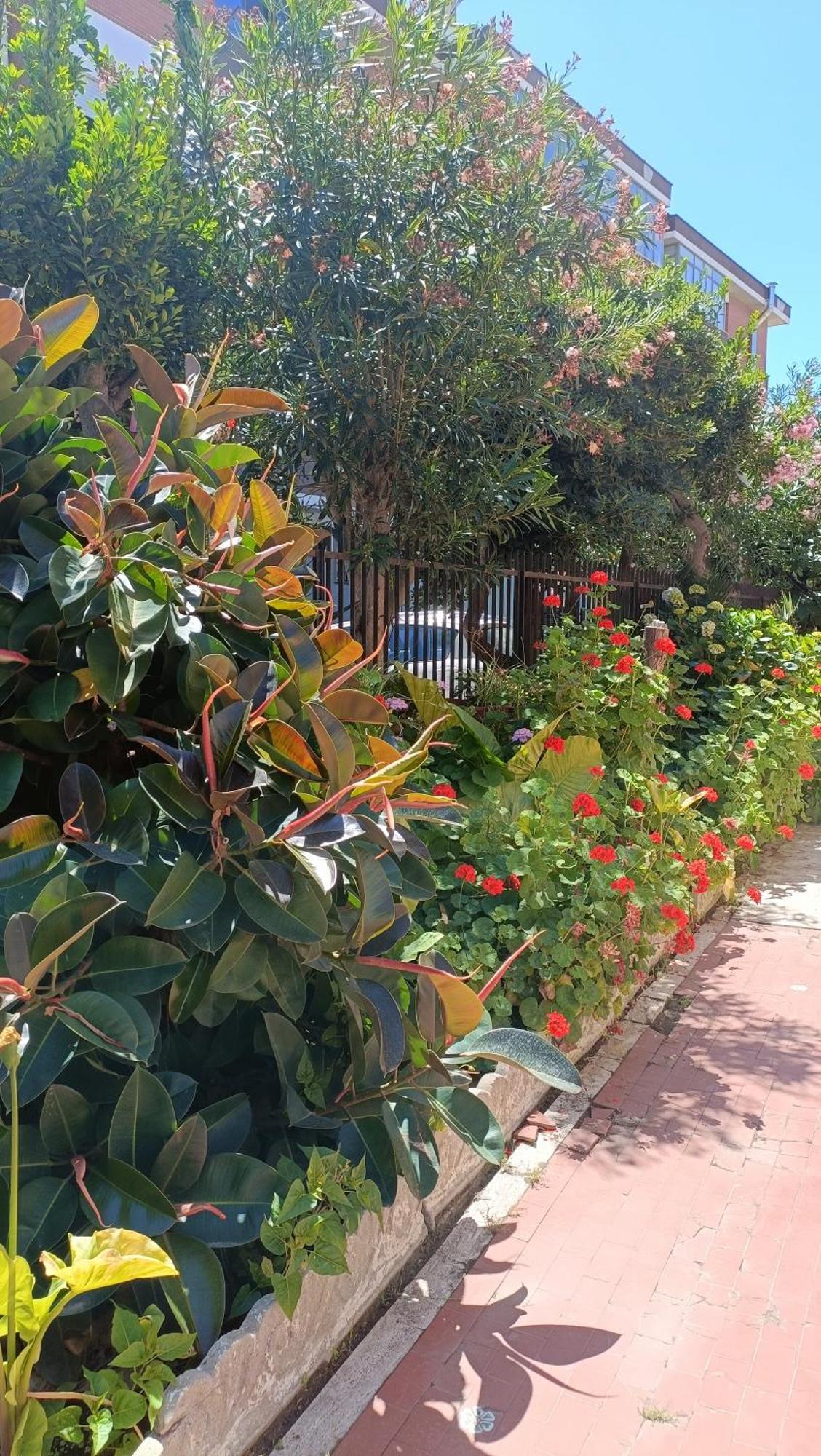 Fco Airport - A Casa Di Gisa Apartment ฟิวมิชีโน ภายนอก รูปภาพ